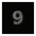 icon 13