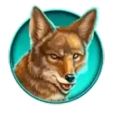 icon 5