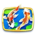 icon 6