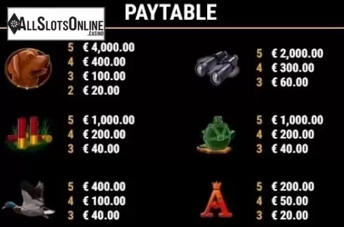 Paytable 1. Duck Shooter from Gamomat