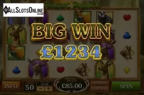 Big Win. Forest Prince from Playtech