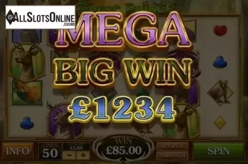 Mega Big Win. Forest Prince from Playtech