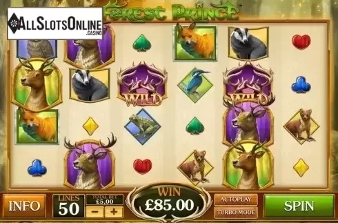 Reel Screen. Forest Prince from Playtech