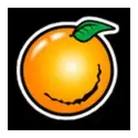 icon 6