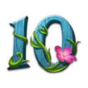 icon 11