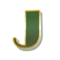 icon 10