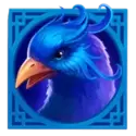 icon 4