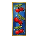 icon 4