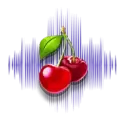 icon 9