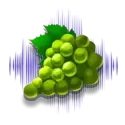 icon 7