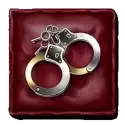 icon 4