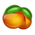 icon 5