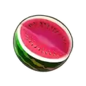 icon 4