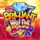 Brilliant Wilds