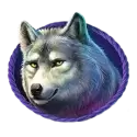 icon 4