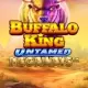 Buffalo King Untamed Megaways