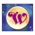 icon 12