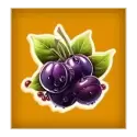 icon 6