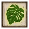icon 6