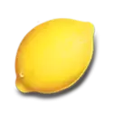icon 4