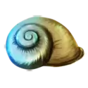 icon 5
