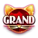 icon 13