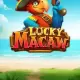 Lucky Macaw
