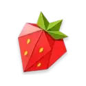 icon 5