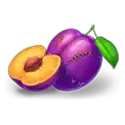 icon 5