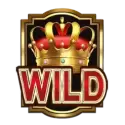 icon 1