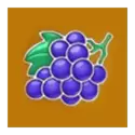 icon 4