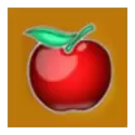 icon 6