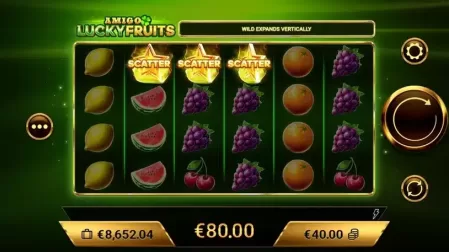 Amigo Lucky Fruits slot screenshot 4