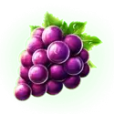 icon 5