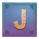 icon 11