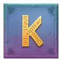 icon 9