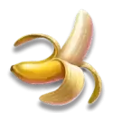 icon 5