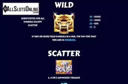 Wild and Scatter Symbols