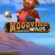 Moooving Wilds