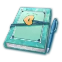 icon 9