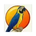 icon 2