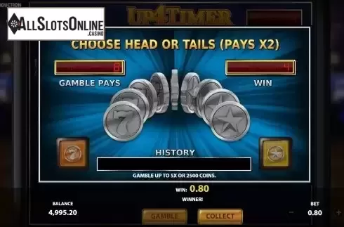 Gamble Double Up Risk Game Screen