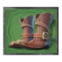 icon 5