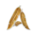 icon 5