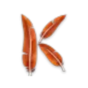 icon 6