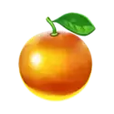 icon 9