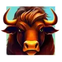 icon 9