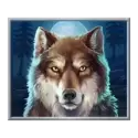 icon 4