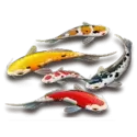icon 5