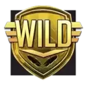 icon 10